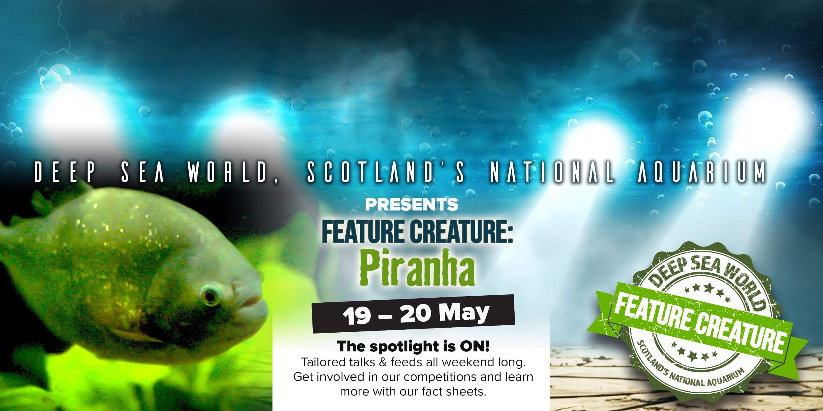 Deep Sea World Scotland's National Aquarium