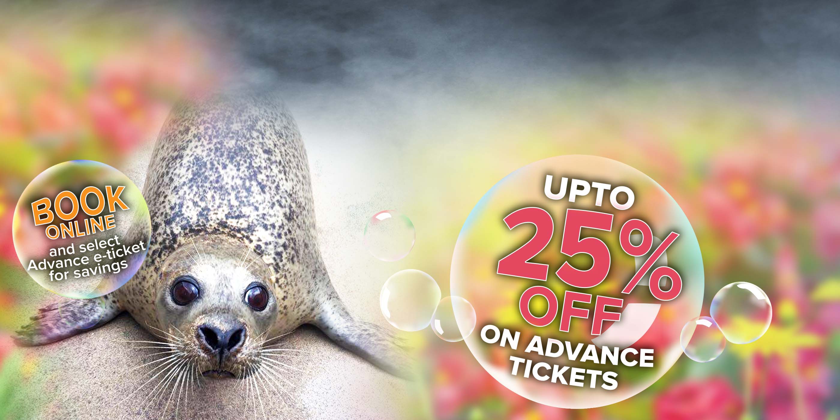 Deep Sea World Scotland's National Aquarium