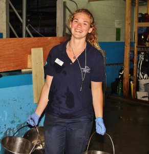 Kate Cooper hard at work at Deep Sea World