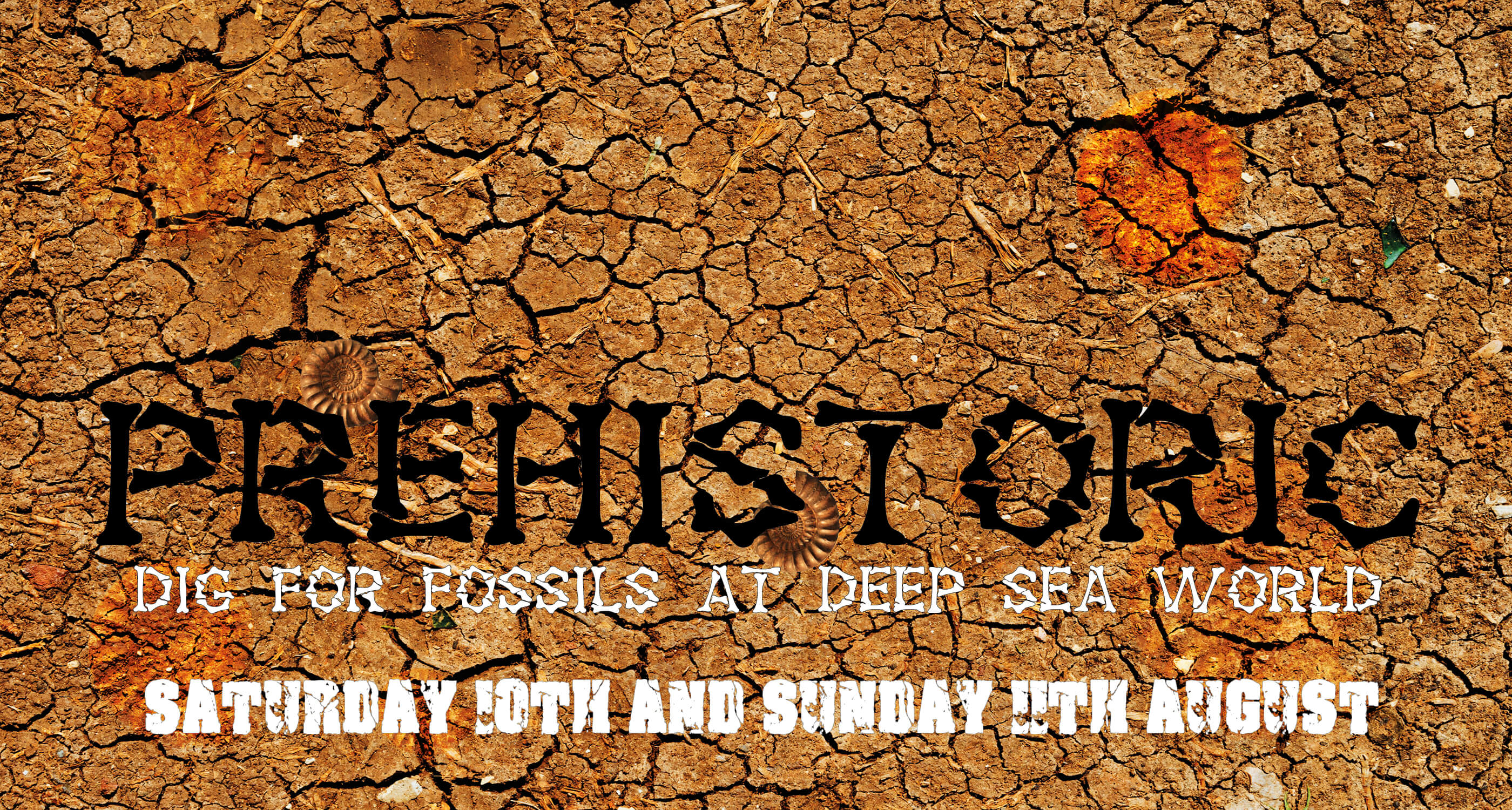 Deep Sea World Scotland's National Aquarium