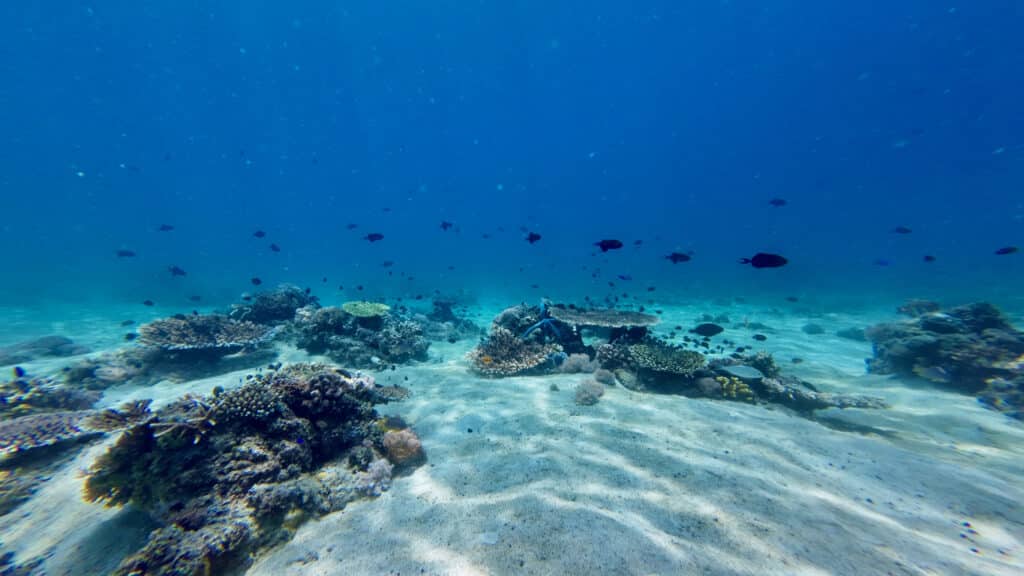 Mysteries of the Ocean We Still Don’t Know