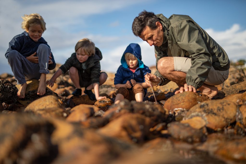 father and sons looking in rockpool
