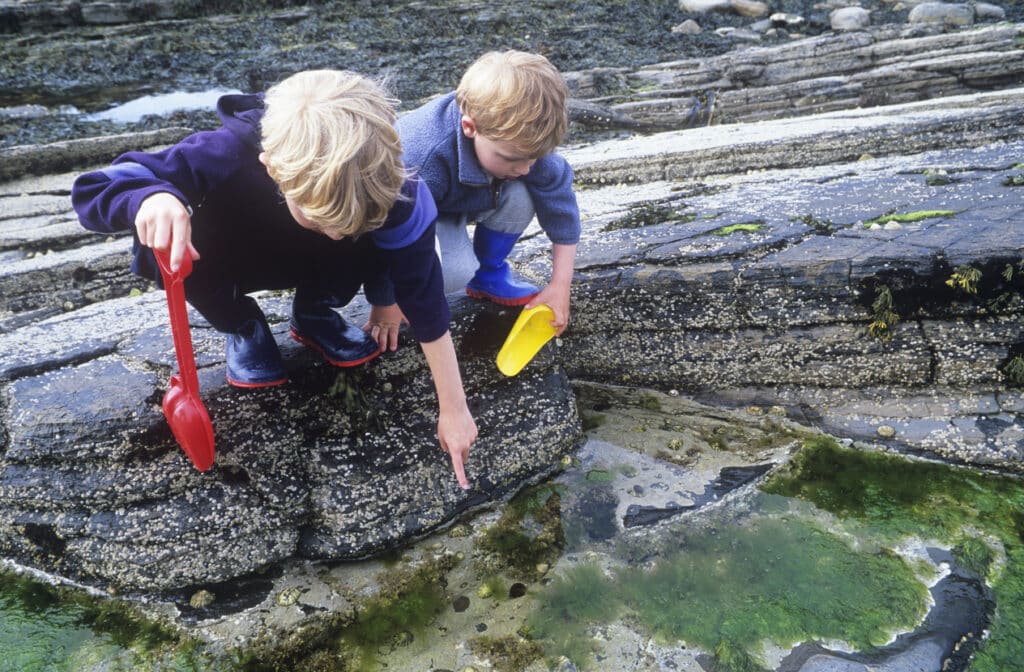 Two young boys exploring rockpools