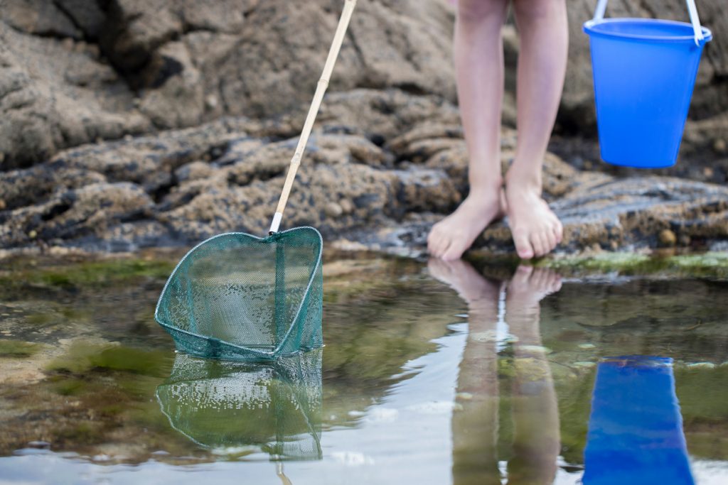 kid fishing in rockpool