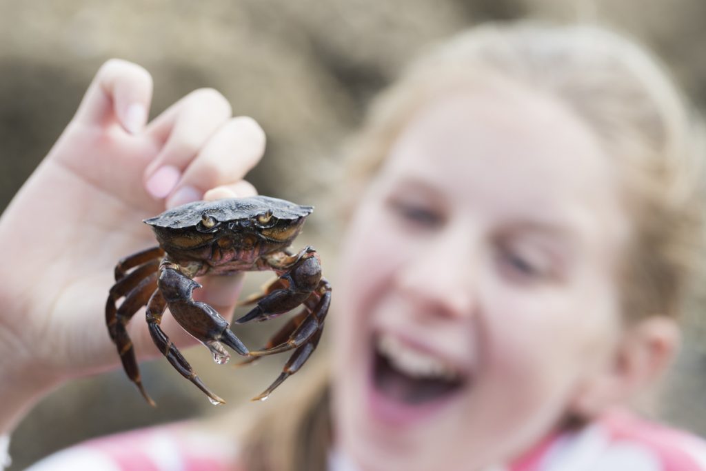 girl holding a crab