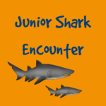 Junior Shark Dive
