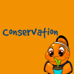 Conservation