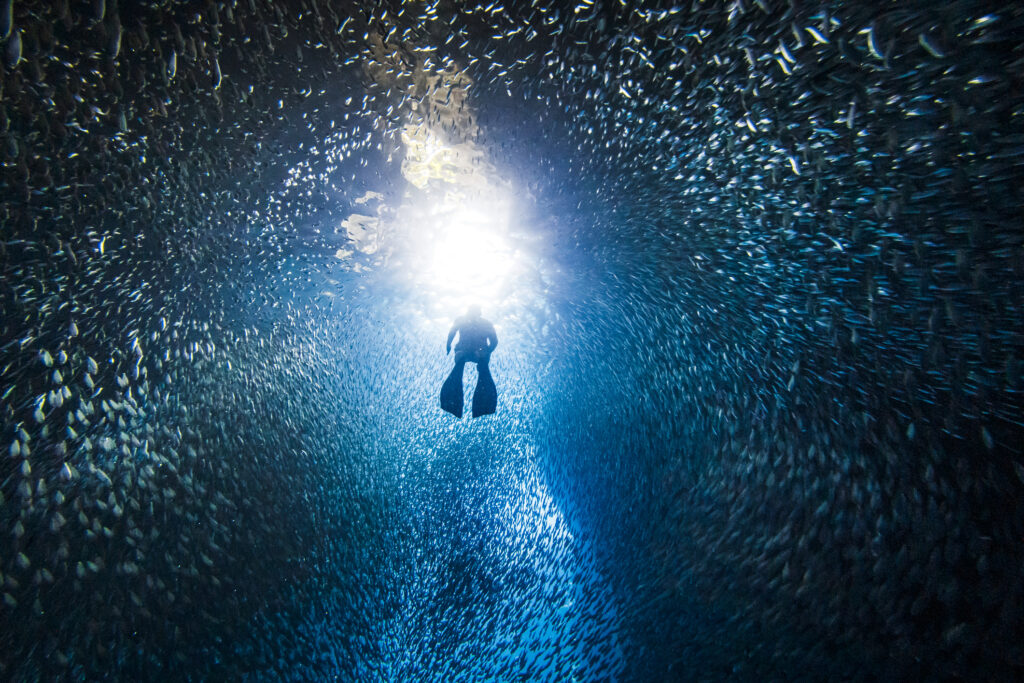 Silhouetted free diver swimming through school of fish in underwater cave into bright light