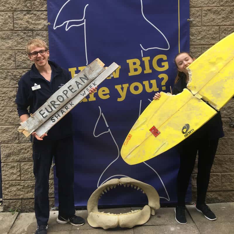 Sharks european week