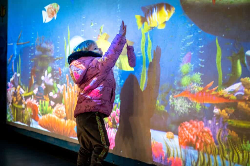 Make Memories With The Kids This Half Term At Deep Sea World