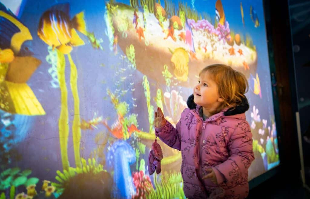 Immerse Yourself In Our Augmented Reality Sandbox This Summer