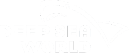 Deep Sea World