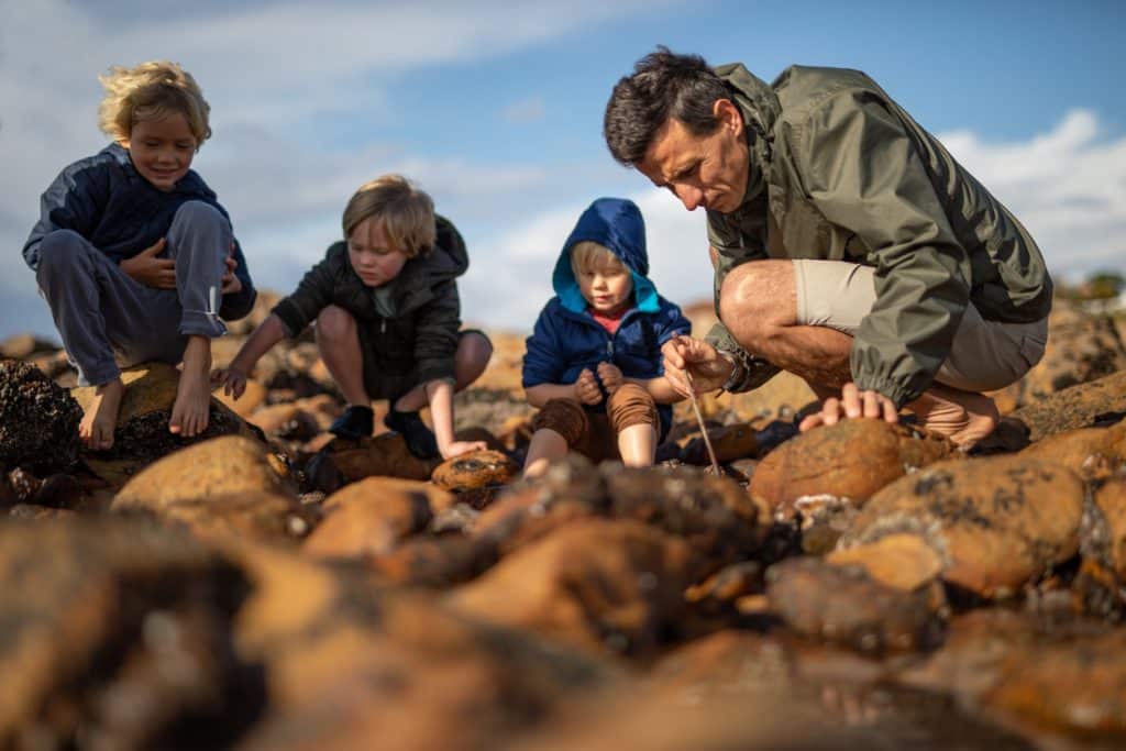 father and sons looking in rockpool