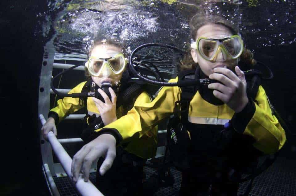 Bring New Life to Gift Vouchers