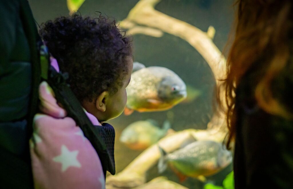 Easter at DSW: Kids for a £quid