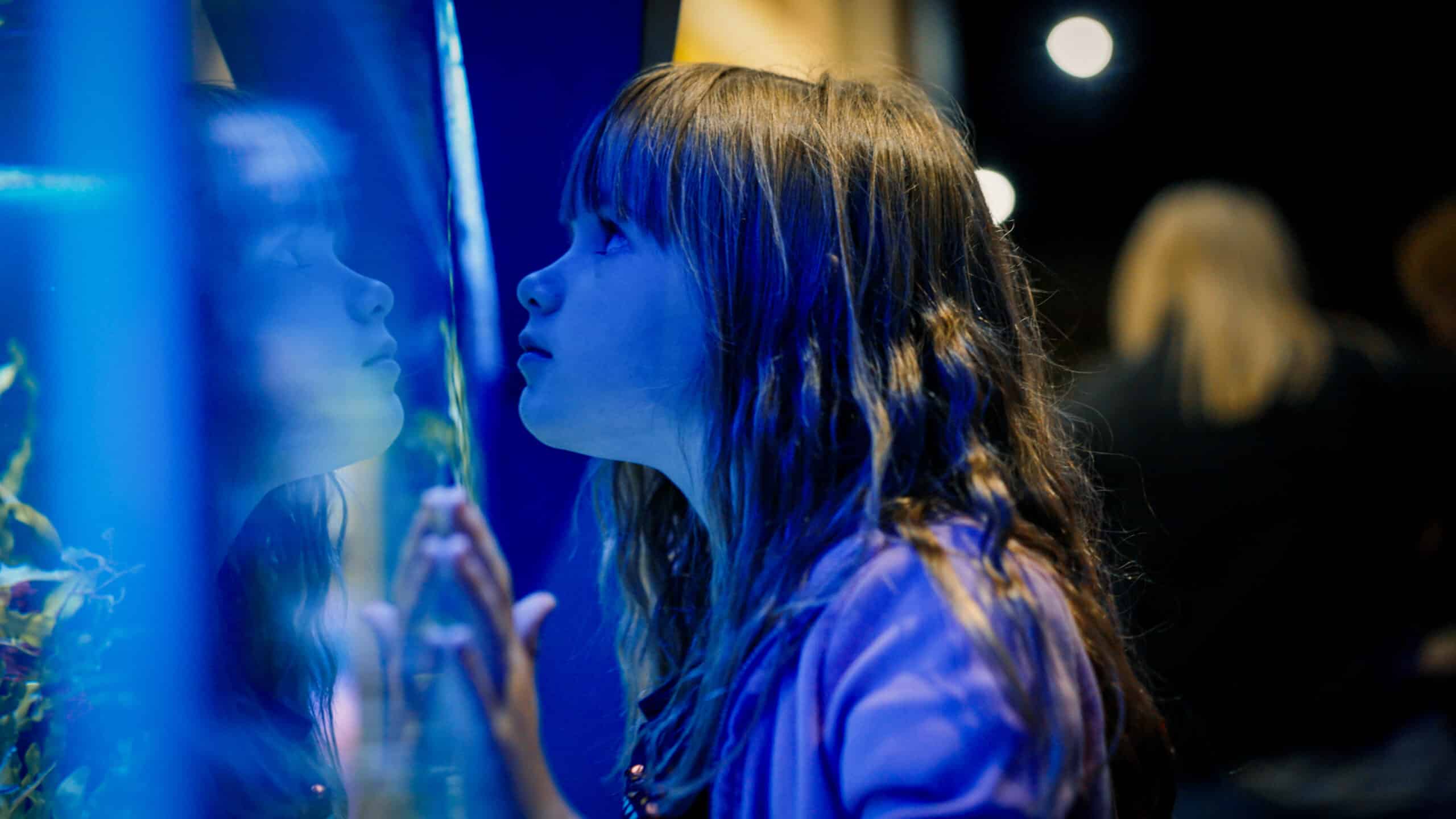 Sea Learn & Discover: Sensory Workshops | Gentle