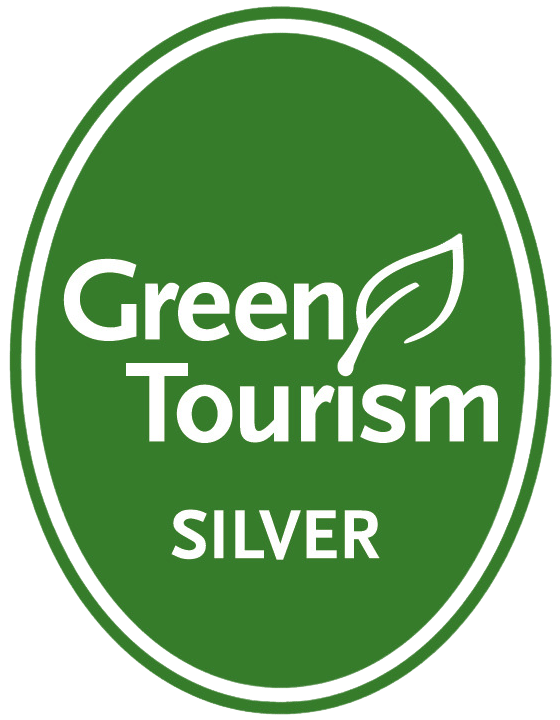GT-Silver-Award-Logo-Edited