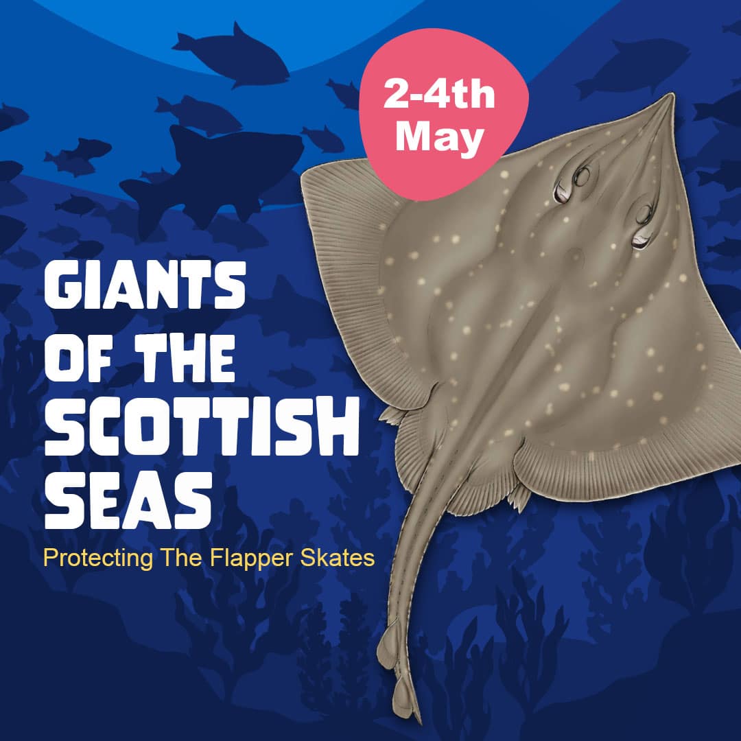 Giants Of The Scottish Seas