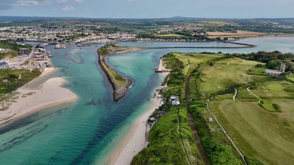 Estuary Habitats: Wildlife, Ecosystems and Why They Matter